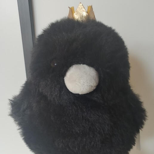a toy crow with a tiny crown